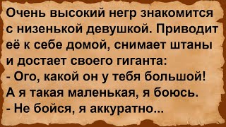 Про высокого негра и низенькую девушку... Сборник анекдотов!