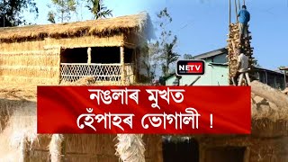 🔥 Magh Bihu 2025: নঙলাৰ মুখত হেঁপাহৰ ভোগালী 🎋 | Pitha, Meji \u0026 Assamese Festive Vibes 🎉