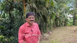 Areca nut farm#Antony Muniyara Vlogs