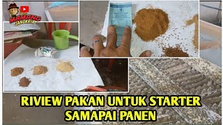 INI DIA PAKAN JANGKRIK BUAT STARTER SAMPAI PANEN ⁉️ala ala mamang jangkrik