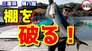 【釣り・海上釣堀】「傳八屋」ブリが稚鮎を掻っ攫う！人から見えない深さから、青物はしっかり餌を見ています！