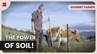 Discover Soil’s Secret Life! - Gourmet Farmer - Food Documentary