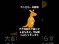 「カンガルーの面白い雑学を紹介します！」voicevox ずんだもん カンガルー 動物の不思議 雑学 オーストラリア 自然 動物trivia