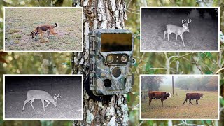 🔥 iZEEKER IG600 Dual-Lens 4K Trail Camera. 1 Month of Testing! 🦌