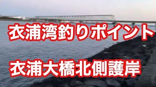 衣浦大橋北側護岸 衣浦湾釣りポイント