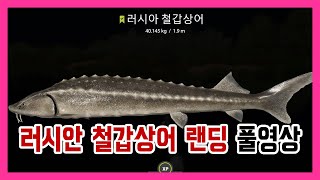 러시안피싱4│210403 악튜바 러시안철갑상어 랜딩 풀영상 seizegame 씨즈게임