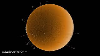 H-alpha time-lapse of the Sun.