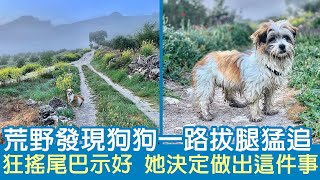 荒野發現狗狗一路拔腿猛追 狂搖尾巴示好 她決定做出這件事 | 狗狗故事