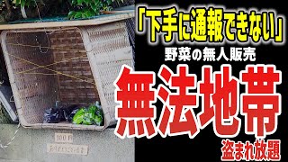 【ゆっくり解説】無法地帯！？無人販売所が盗まれ放題でヤバすぎる