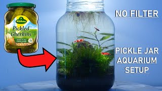 PICKLE JAR AQUARIUM | no filter, no heater, walstad method, setup