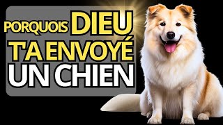 🐶 Pourquoi DIEU a mis un CHIEN dans ta vie ? DÉCOUVREZ ICI 🐾