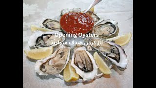 Opening Oysters  باز کردن صدف مروارید