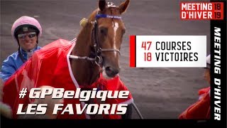 Grand Prix de Belgique 2019 - Les favoris ! Carat Williams \u0026 David Thomain