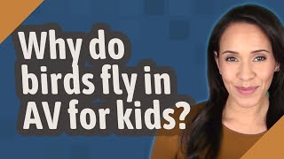 Why do birds fly in AV for kids?