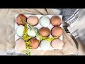 కోడిగుడ్డు ని ఎంత సేపు ఉడికించాలి how to cook perfect hard boiled eggs