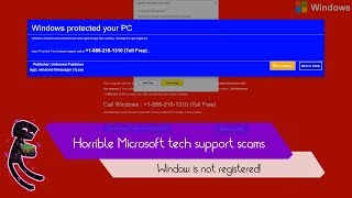Horrible Microsoft Tech Support scammers