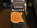 shorts bread パン作り パン 猫 cat 食パン