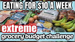 HOW TO EAT FOR $10 A WEEK | EMERGENCY EXTREME BUDGET GROCERY HAUL 2020