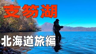 【北海道編】支笏湖のブラウンに会いに北の大地へ