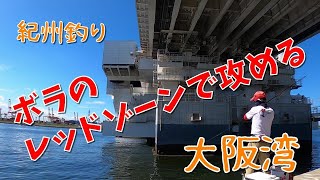 #32 紀州釣り 「大阪湾　ボラのレッドゾーンで攻める」 24.8.17Sat