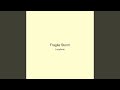 Fragile Storm