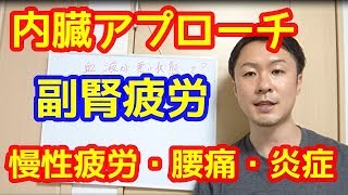 【内臓アプローチ】副腎疲労と腰痛・肩こり・炎症　　理学療法士　柔道整復師　整体師