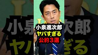 次期総裁候補小泉進次郎のヤバすぎる公約3選...#雑学