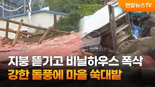 지붕 뜯기고 비닐하우스 폭삭…강한 돌풍에 마을 쑥대밭 / 연합뉴스TV (YonhapnewsTV)