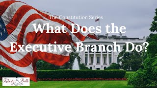 What Does The Executive Branch Do