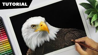 How to Draw an EAGLE with Colors | Tutorial for BEGINNERS
