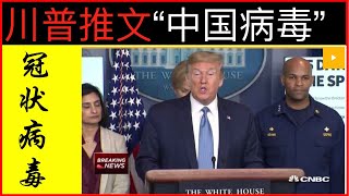 美股继续暴跌3000点 Trump推文甩锅中国 ｜川普Twitter “Chinese Virus” “中国病毒”｜美国华人小心种族主义抬头