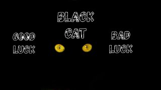 Black Cat The Most Common  Superstition II When A Color Became A Curse To An Animal