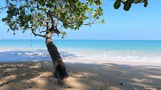 Turquoise Tranquility 🌊 Crushing Waves and Rolling Sand on Lonely White Sand Beach 🌴 ASMR in 4K