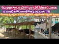 2.How to make low cost shed for dairy farm in tamil | Low cost shed | low budget shed for dairy farm