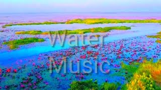 Live-- Sky music ||Peaceful Relaxing MusicWater SongRelaxing Piano Music#sky#4K#relaxingmusic#viral