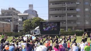 祭・WAIWAIよこはま☆フラフ大賞＠2014　湘南よさこい祭り