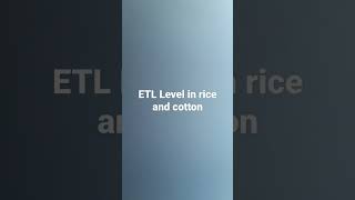 ETL Level in rice and cotton