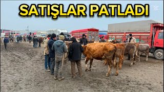 KIRIKKALE HAYVAN PAZARI GÜNCEL/LİVESTOCK SALES