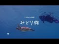 52歳の勇気：足の不自由な私がひとりで座間味を目指す旅　パート1