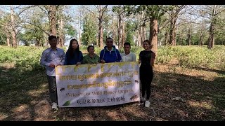 Wild Honey Organic - Berufsimkerei (mellifera) in Phnom Penh, Kambodscha Jan. 2025