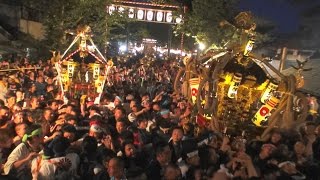 平成28年 平塚 三嶋神社「須賀まつり」一の鳥居を潜り宮入りする本社神輿