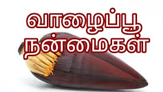 vivasayam 360 வாழைப்பூ நன்மைகள் | Valaipoo benefits in Tamil