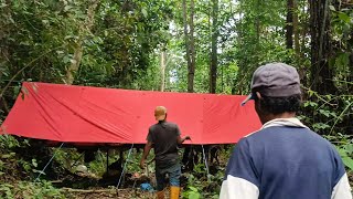 CAMPING BERMALAM DITENGAH HUTAN LAGI PANEN IKAN KIHUNG DAN GABUS