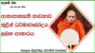 ආනාපානසති භාවනාව තුළින් ධර්මාවබෝධය ලබන ආකාරය.328Ven Hasalaka Seelawimala Thero