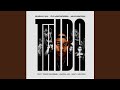 Shaun101, Dj Maphorisa & Mluusician - Thiba (Official Audio) (Ft  Tango Supreme, Uncool MC & Ric