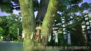 加藤神社【加藤清正公】を祀る　熊本城隣接　御朱印もあります　遅かったけれど宮司様のおかげで頂けました