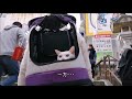 猫＆犬と一緒に四国旅行