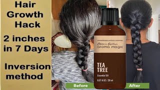 Can tea tree essential oil be used for hair growth?How to use tea tree essential oil for hair growth