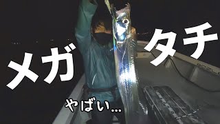 【テンヤタチウオ】巨大太刀魚が超簡単に釣れました【メガタチウオ】