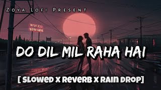 Do Dil Mil Raha Hai ( Slowed x Reverb x Rain drop) Hindi romantic cover song. 𝙕𝙤𝙮𝙖 𝙇𝙤-𝙛𝙞  Present